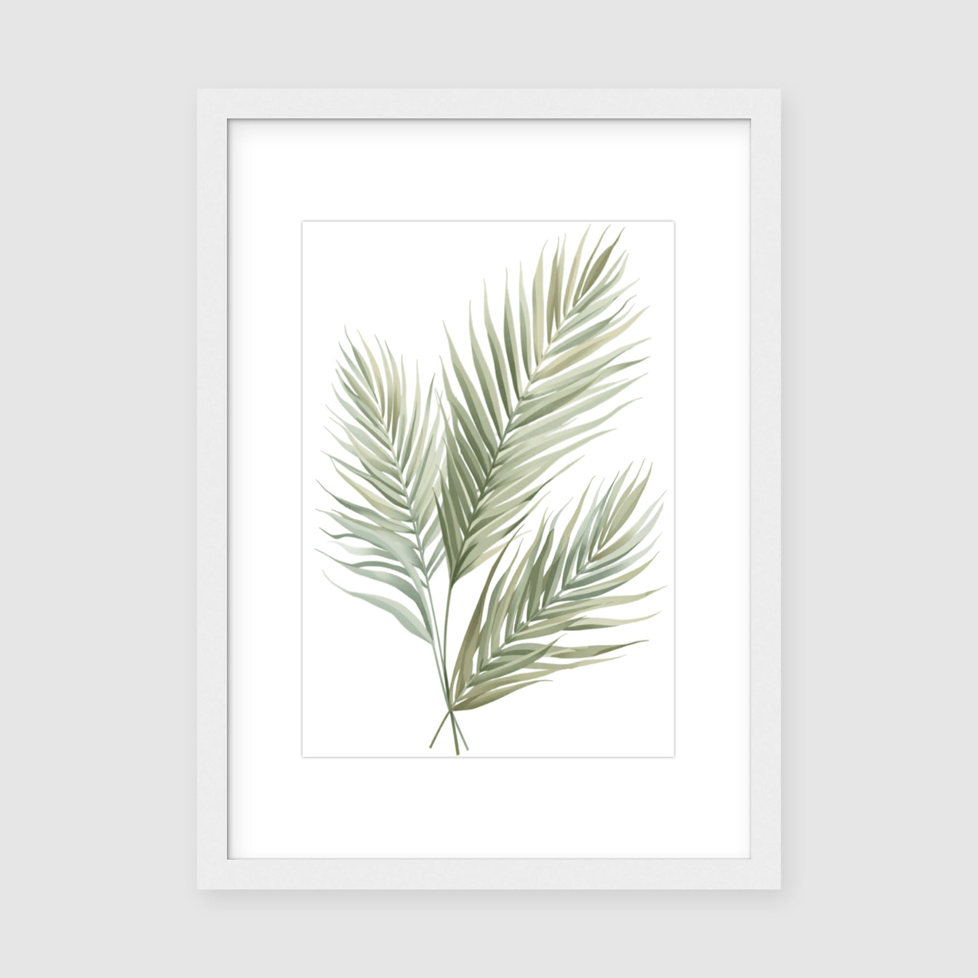 Framed Print A3 Classic White Frame - Soft celadon and green feathered palm leaves with peaceful watercolor-style rendering