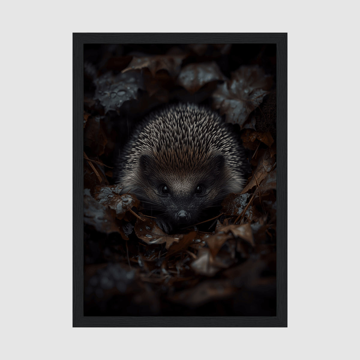 Hedgehog Framed Print A4 Black Frame - Detailed close-up portrait of a hedgehog with spiny coat in dark moody tones surrounded by autumn leaves and natural elements