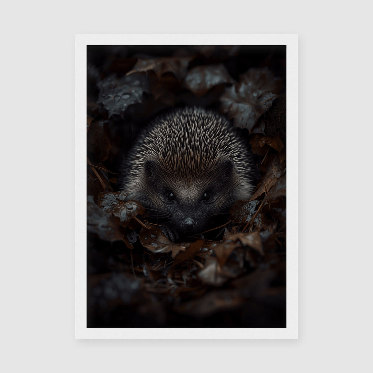 Hedgehog Framed Print A4 White Frame - Intimate hedgehog portrait with grey and black fur against blurred forest background and scattered leaf debris