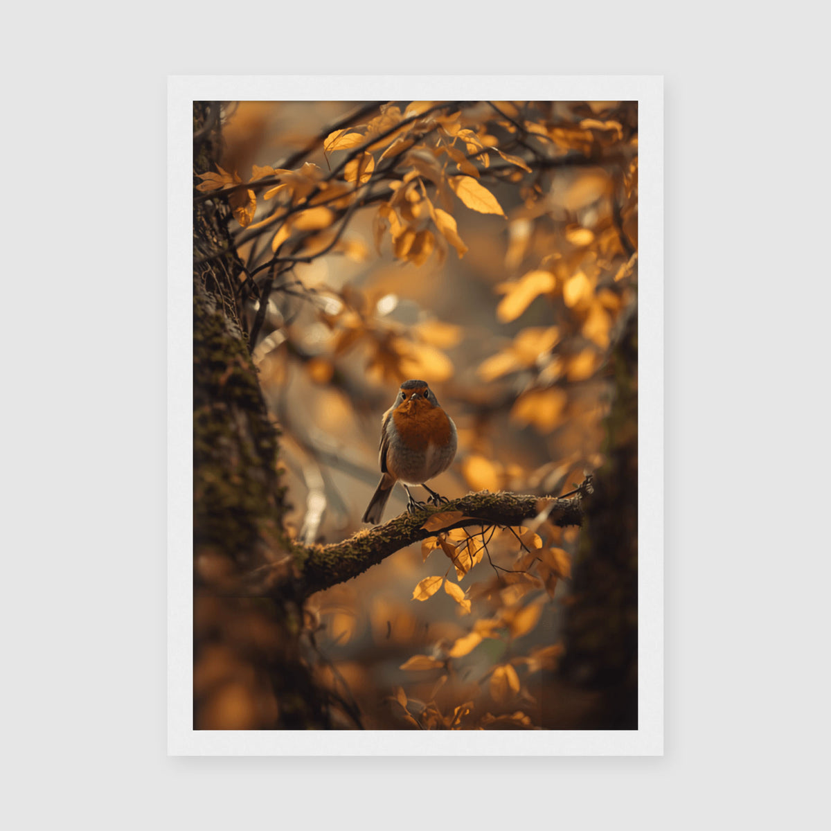 Framed Poster A4 Classic White Frame - Small robin bird with orange-brown breast among delicate yellow and amber autumn foliage