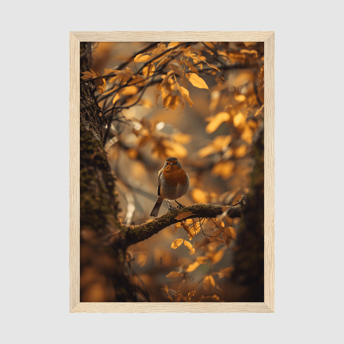 Framed Poster A4 Classic Wood Frame - Serene woodland scene featuring robin in golden hour light with blurred falling leaves