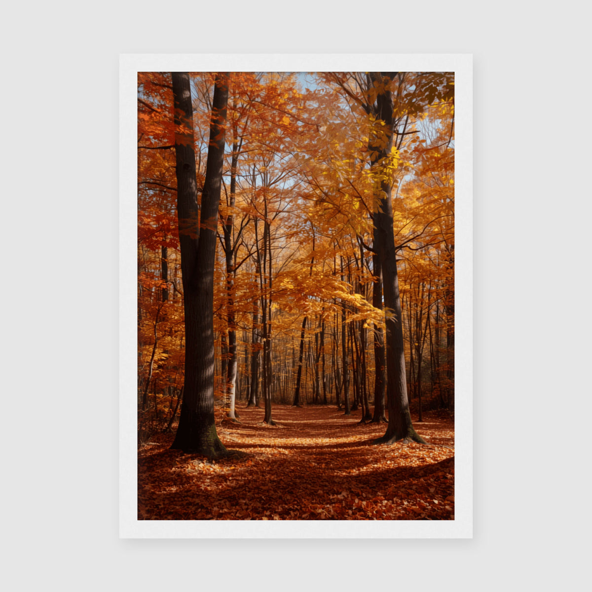 Framed Poster A4 White Frame - Serene woodland scene with golden leaves and blue sky visible through canopy of tall trees