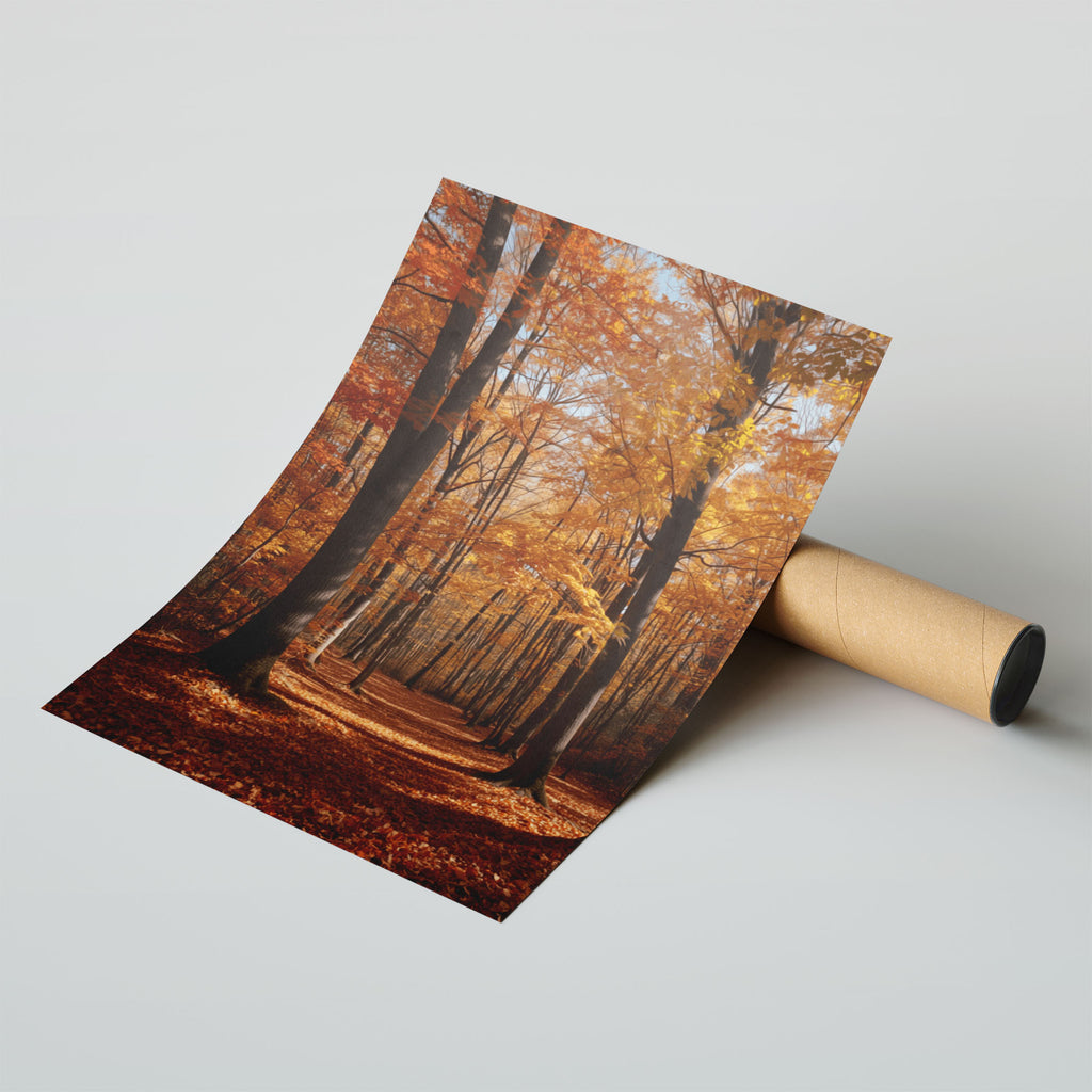 Framed Autumn Print - Enchanting woodland scene capturing magical golden hour light through autumn forest canopy overhead
